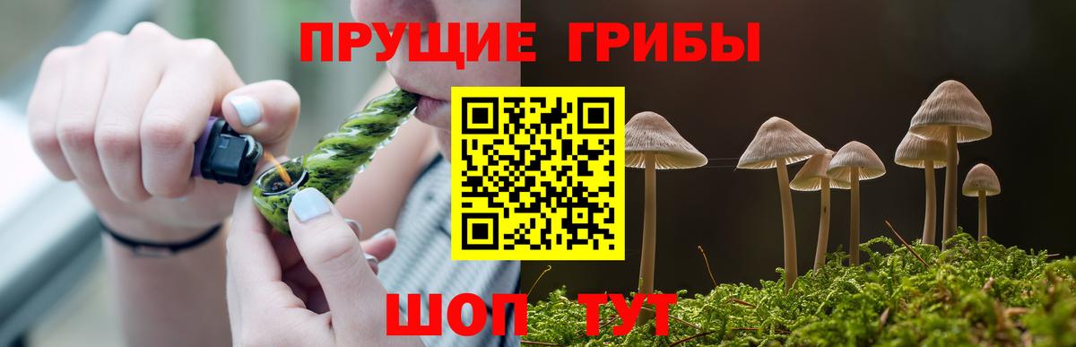 Псилоцибиновые грибы GOLDEN TEACHER  Псилоцибиновые грибы Cubensis  Кумертау  Вход с VPN 